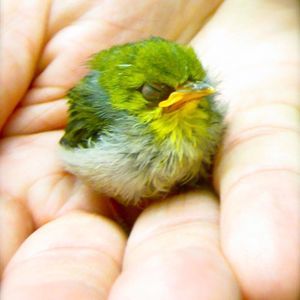 Meet your Posher, Jaime